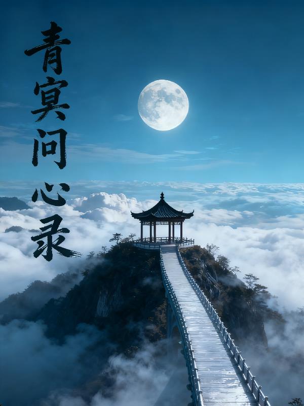 青冥问心录封面