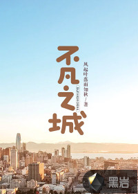 不凡之城封面