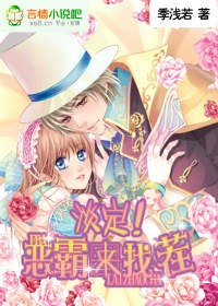 淡定,恶霸来找茬封面