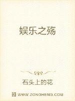 娱乐之殇封面