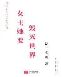 女主她要毁灭世界封面