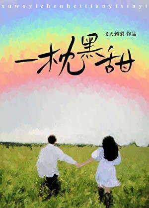 一枕黑甜[娱乐圈]封面