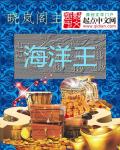 海洋王封面