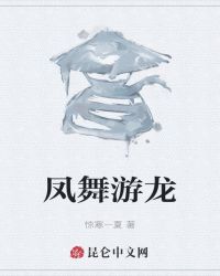 凤舞游龙封面