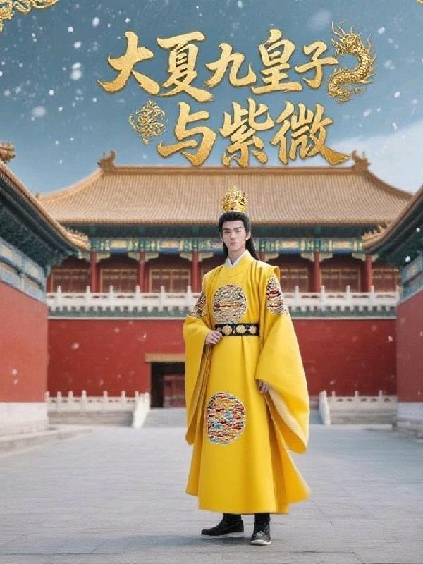 大夏九皇子与紫微封面