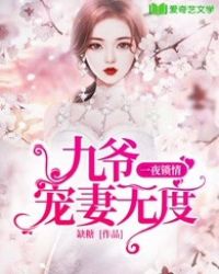 一夜锁情：九爷宠妻无度封面