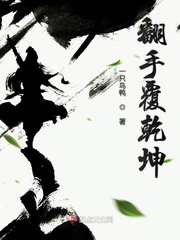 翻手覆乾坤封面