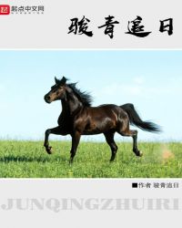 骏青追日封面