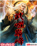 武噬巅峰封面