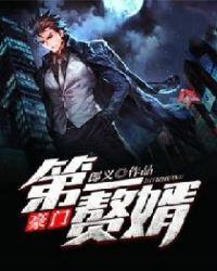 豪门第一赘婿封面