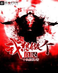 我想做个良民封面