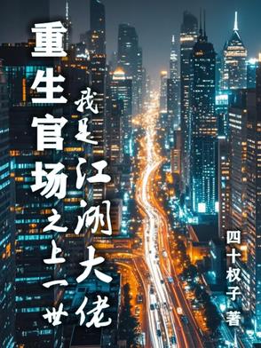 重生官场之上一世我是江湖大佬封面