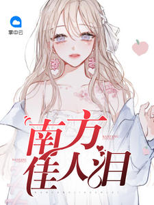 南方佳人泪封面