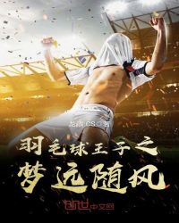 羽毛球王子之梦远随风封面