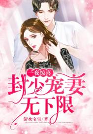 一夜惊喜：封少宠妻无下限封面