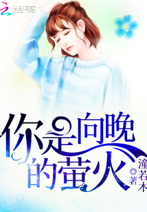 你是向晚的萤火封面