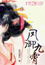 凤御九霄封面