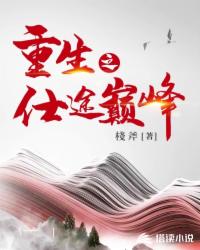 重生之仕途巅峰封面