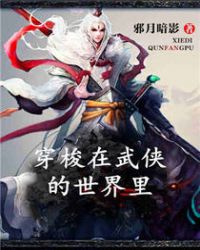 穿梭在武侠的世界里封面