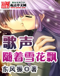 歌声随着雪花飘封面