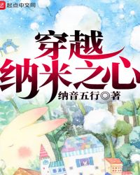 穿越纳米之心封面