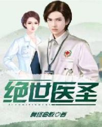 绝世医圣封面