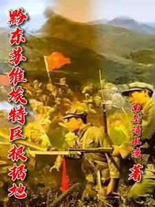 黔东苏维埃特区根据地封面