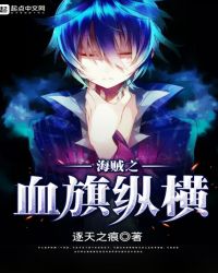 海贼之血旗纵横封面