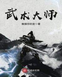 武术大师封面