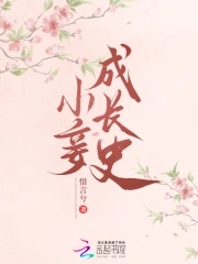 小妾成长史封面
