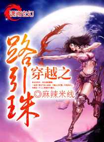 穿越之路引珠封面