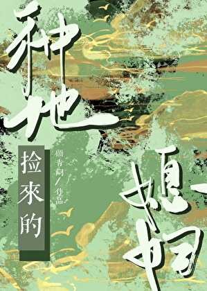种地捡来的媳妇封面