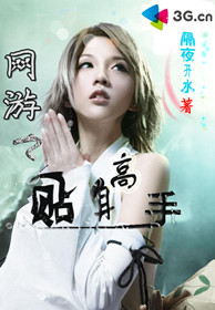网游之贴身高手封面