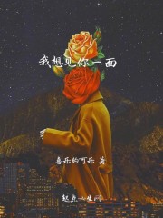 我想见你一面封面