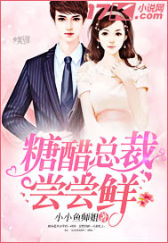 糖醋总裁尝尝鲜封面