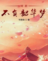 倾颜不负韶华梦封面