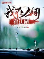 我在人间看江湖封面