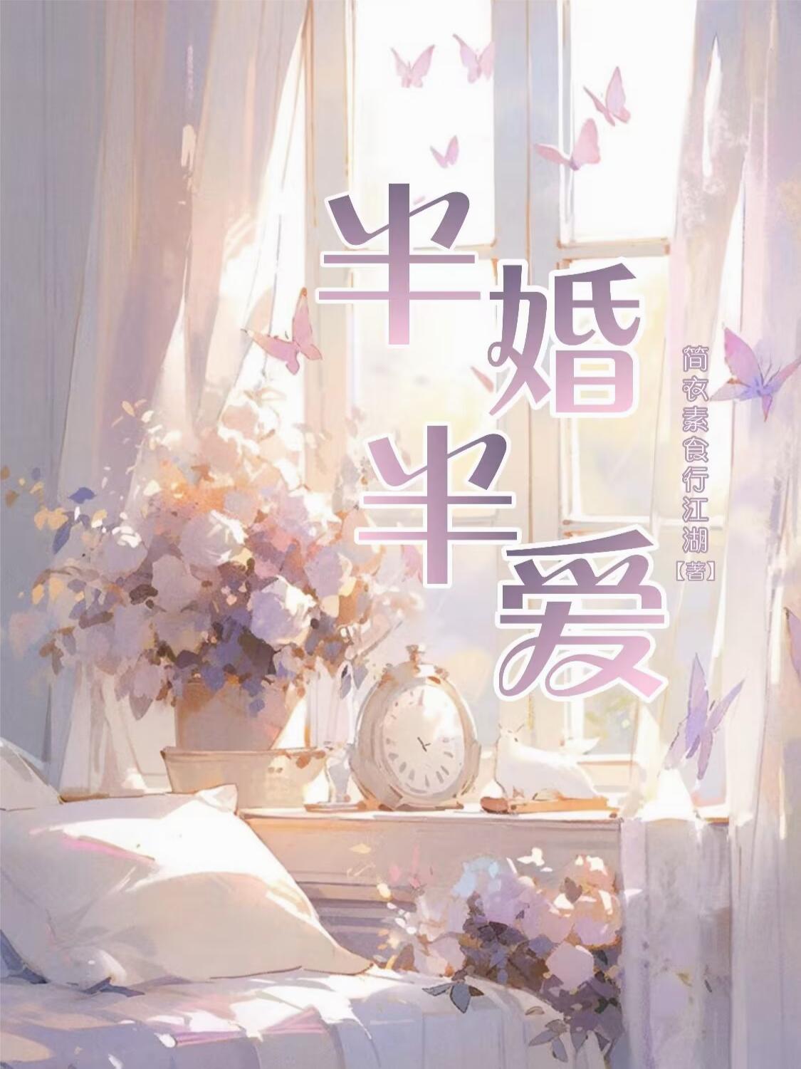 半婚半爱封面