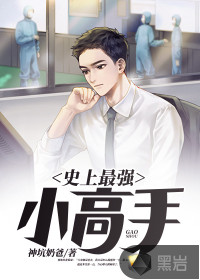 史上最强小高手封面