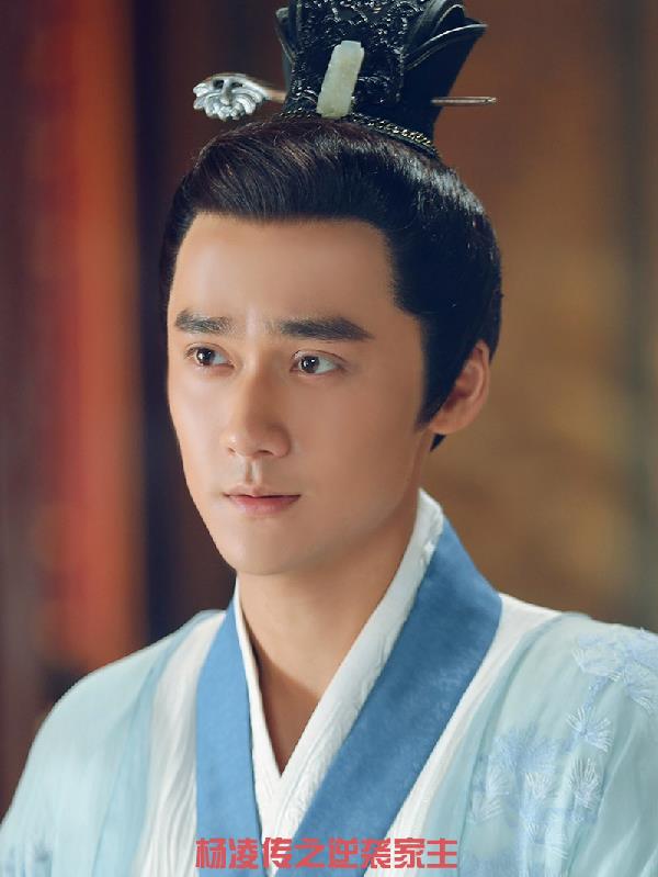 杨凌传之逆袭家主封面