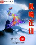凤鸣在山封面