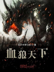 血狼天下封面