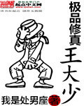 极品修真王大少封面