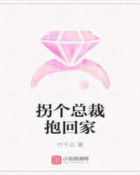 拐个总裁抱回家封面