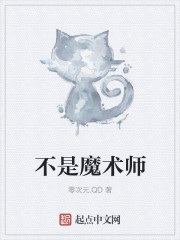 不是魔术师封面