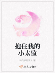 抱住我的小太监封面