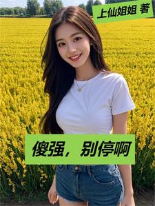 傻强,别停啊封面