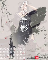 刀戈弄影封面