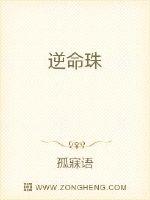 逆命珠封面