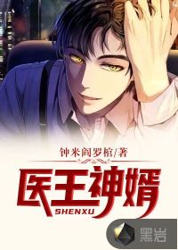 医王神婿封面
